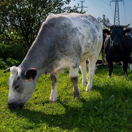 Geetkotmolenhoeve Lochristi Eksteriør billede